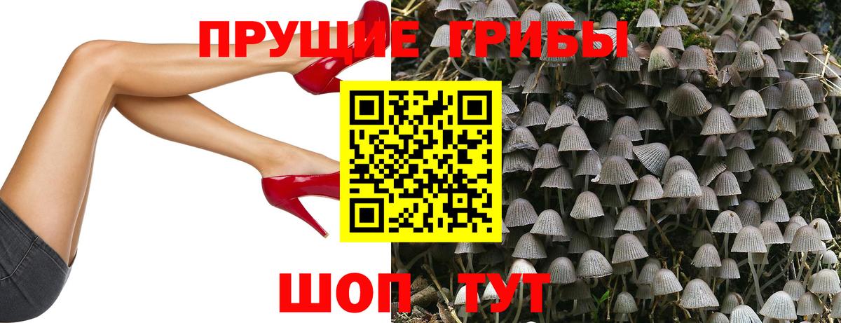 Галлюциногенные грибы ЛСД  Вход с VPN  Заводоуковск 